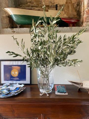 Sosta Al Capitano Bed & Breakfast Pontassieve Bagian luar foto