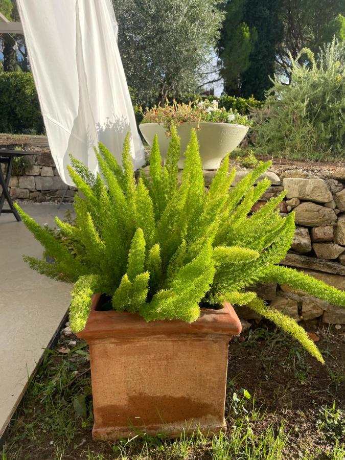 Sosta Al Capitano Bed & Breakfast Pontassieve Bagian luar foto
